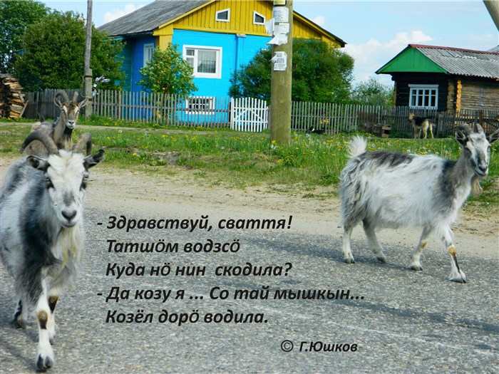 Kozmodemyanova_Evgeniya,_s_(1).jpg