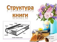 Как мы изучали структуру книги