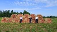 День поля — 2025