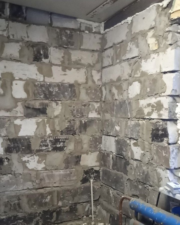 IMG_9319_1.jpg IMG_9319_1.jpg