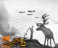 Олени тоже воевали